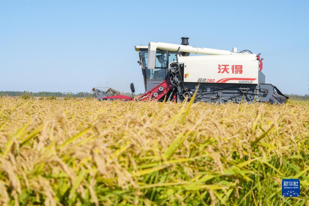 bet网站怎么样
